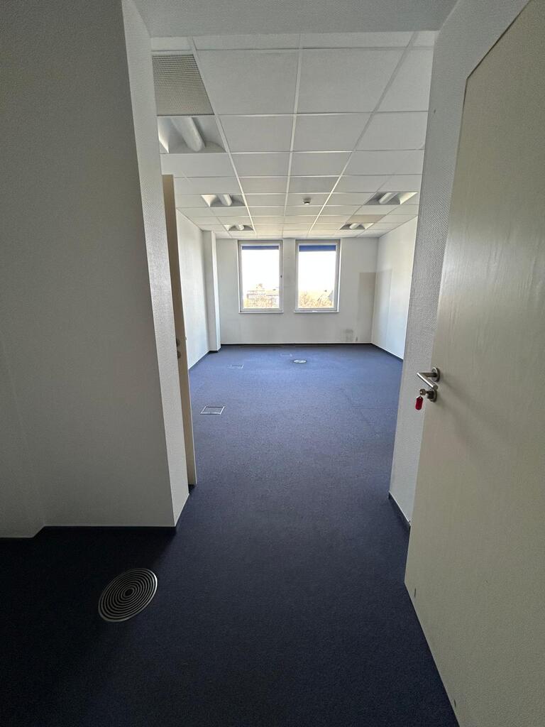 Lokal na wynajem Szczecin, Centrum 213 m2 | Arka Nieruchomości