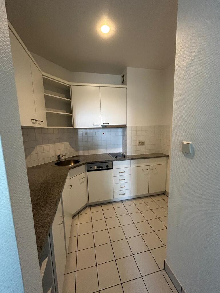 Lokal na wynajem Szczecin, Centrum 213 m2 | Arka Nieruchomości