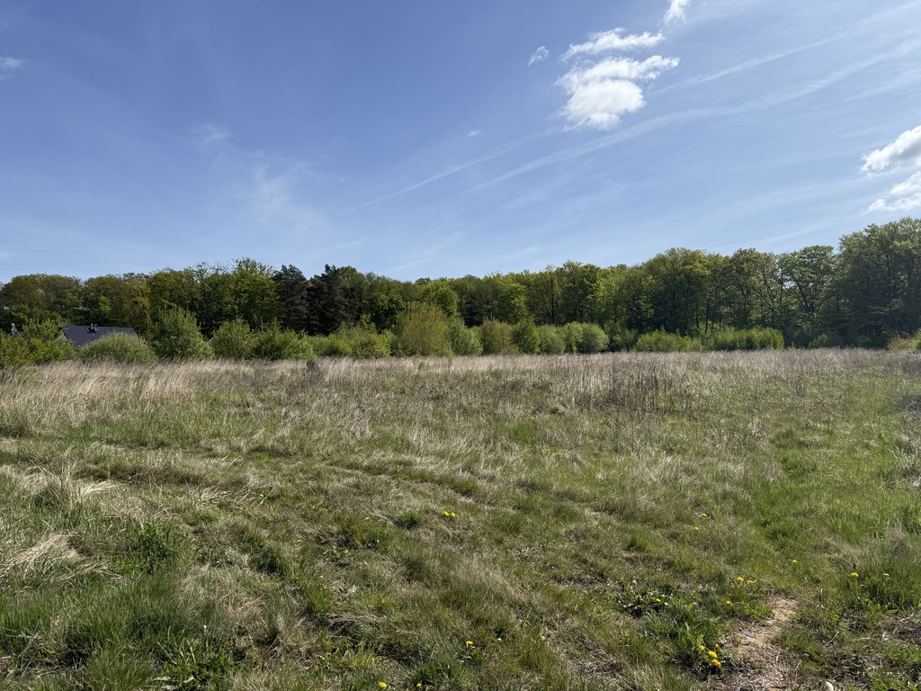 Działka na sprzedaż Siedlice 1 231 m2 | Arka Nieruchomości