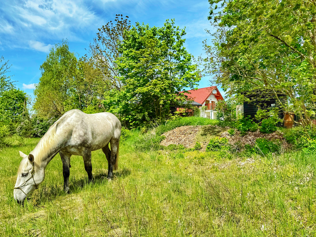 Dom na sprzedaż Trzeszczyn 310 m2 | Arka Nieruchomości