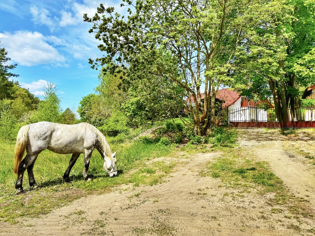 Dom na sprzedaż Trzeszczyn 310 m2 | Arka Nieruchomości