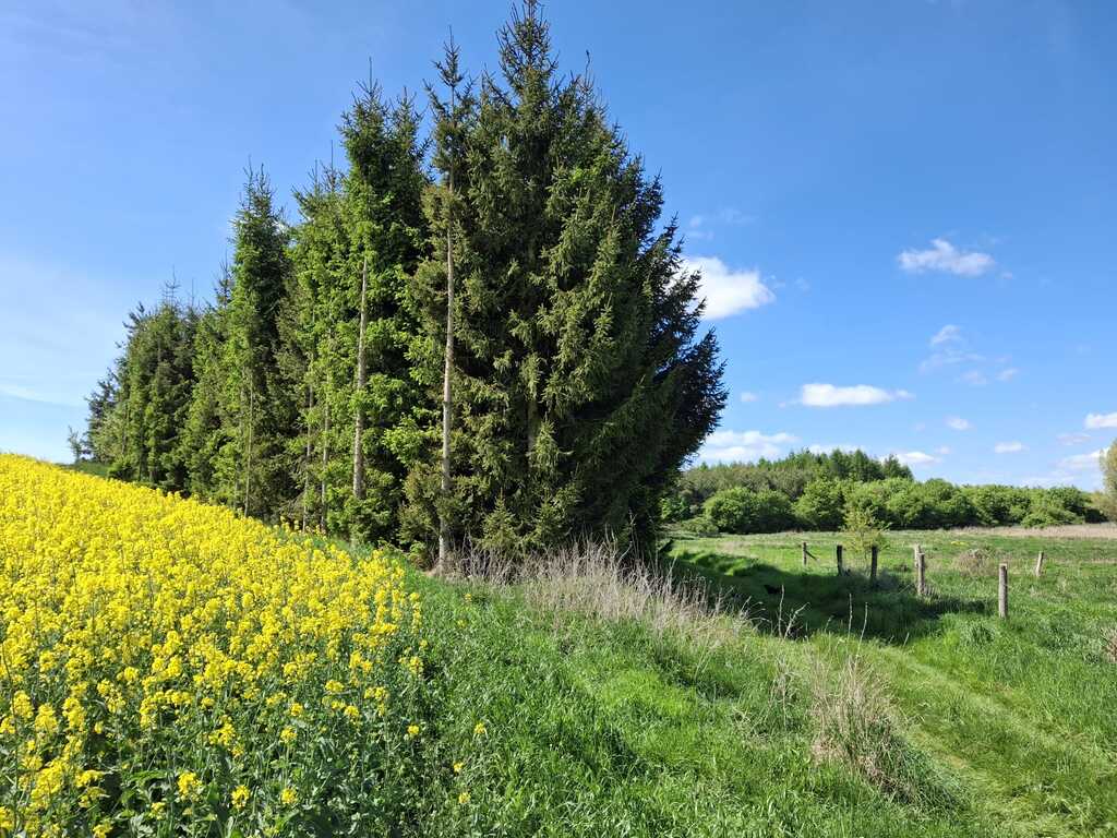 Działka na sprzedaż Parsów 9 825 m2 | Arka Nieruchomości