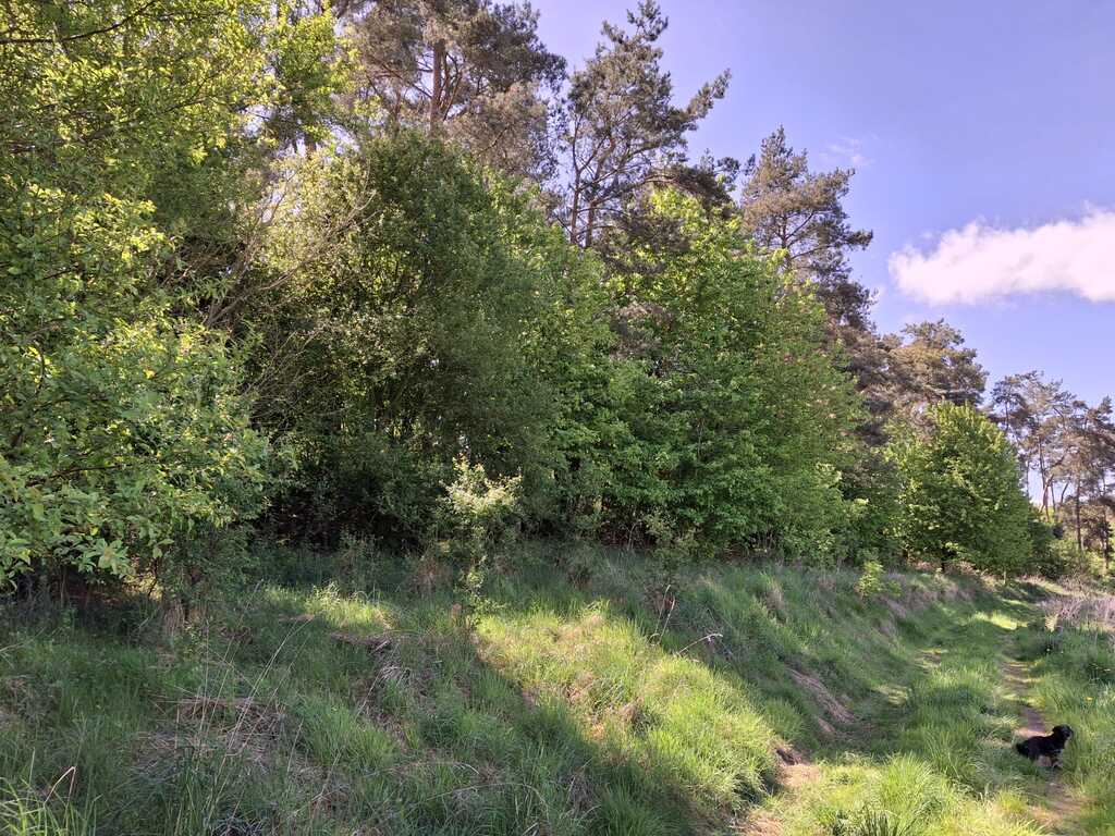 Działka na sprzedaż Parsów 9 825 m2 | Arka Nieruchomości