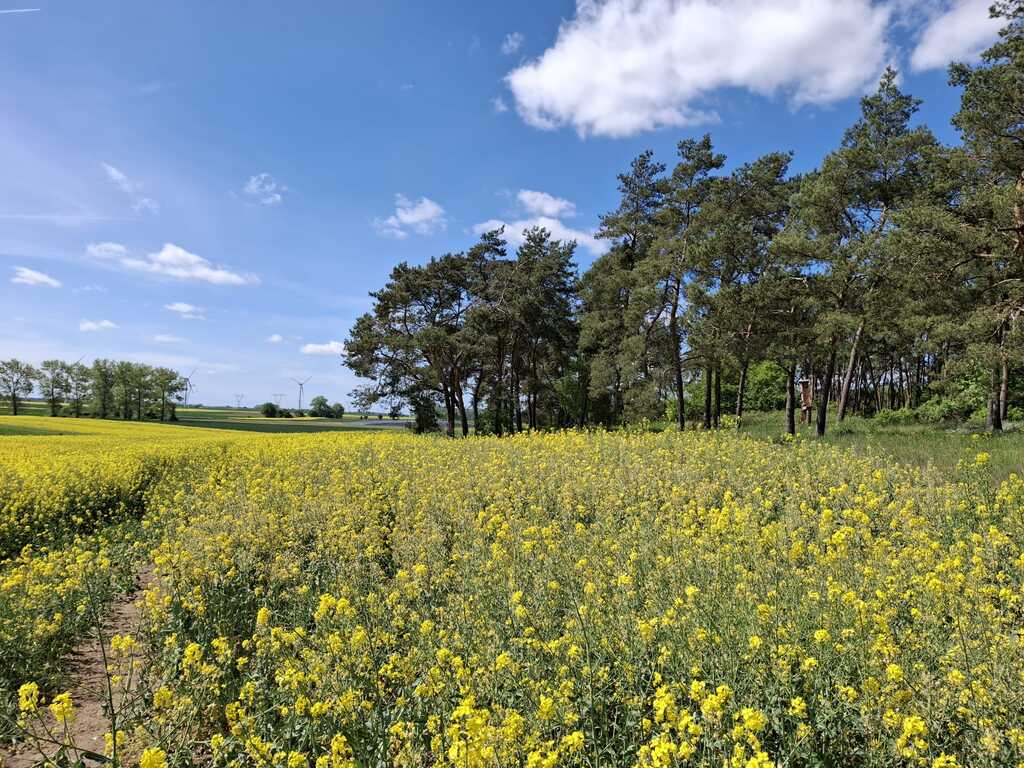 Działka na sprzedaż Parsów 9 825 m2 | Arka Nieruchomości