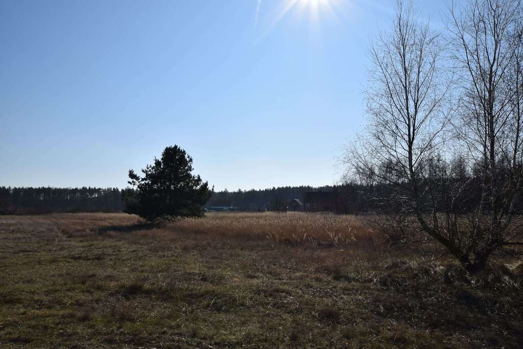 Działka na sprzedaż Czartowo 1 385 m2 | Arka Nieruchomości