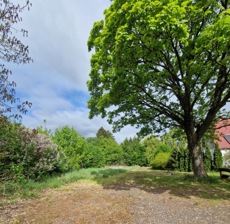  Olchowo  | Arka Nieruchomości