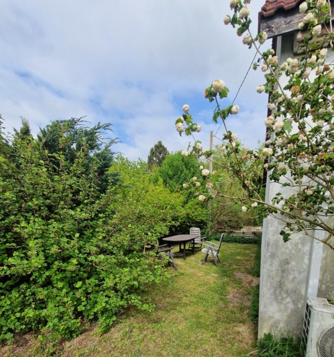  Olchowo  | Arka Nieruchomości