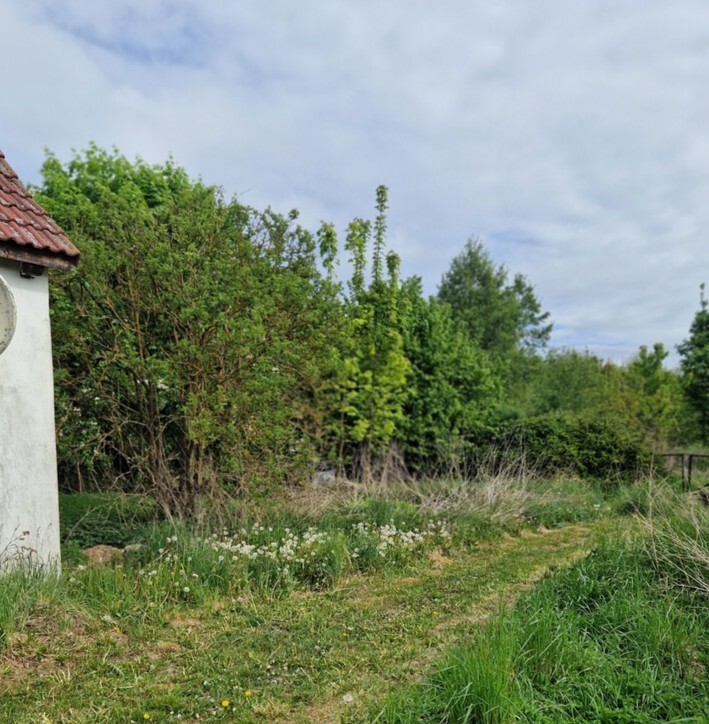  Olchowo  | Arka Nieruchomości