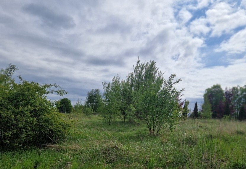  Olchowo  | Arka Nieruchomości