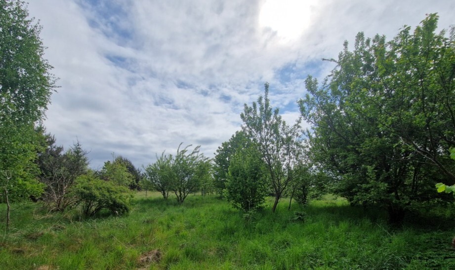  Olchowo  | Arka Nieruchomości