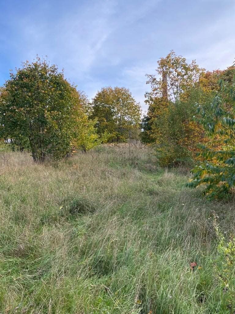 Działka na sprzedaż Pławno 11 300 m2 | Arka Nieruchomości