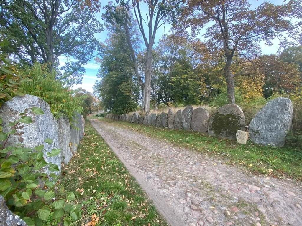 Działka na sprzedaż Pławno 11 300 m2 | Arka Nieruchomości