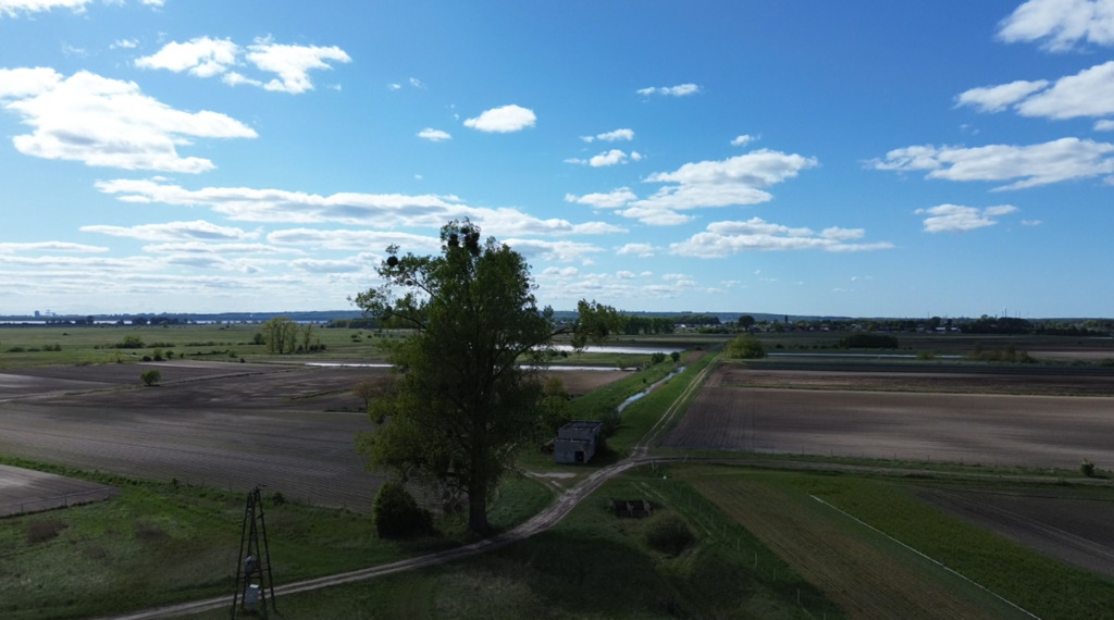 Działka na sprzedaż Lubczyna 20 963 m2 | Arka Nieruchomości