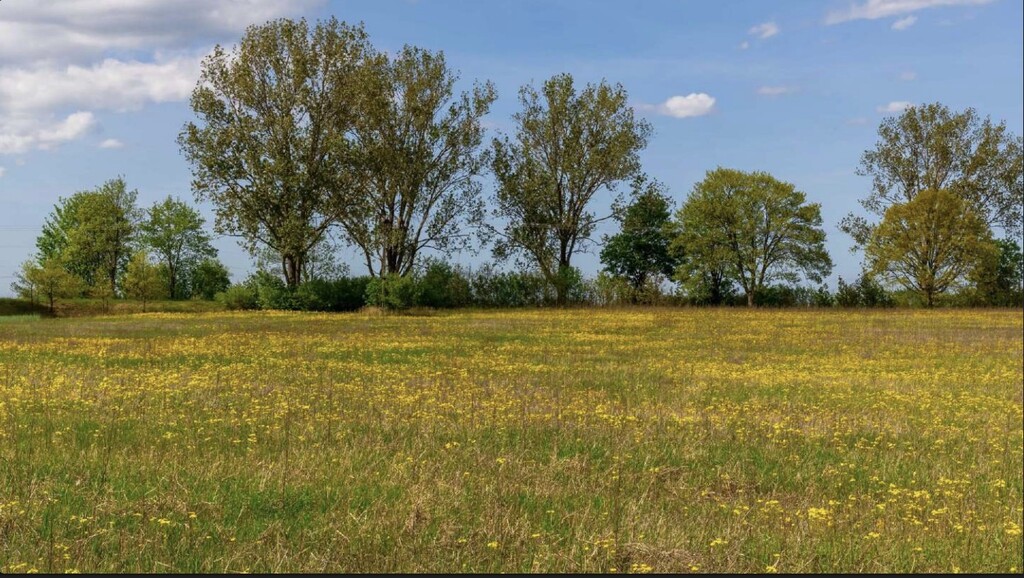 Działka na sprzedaż Jarnatów 66 142 m2 | Arka Nieruchomości