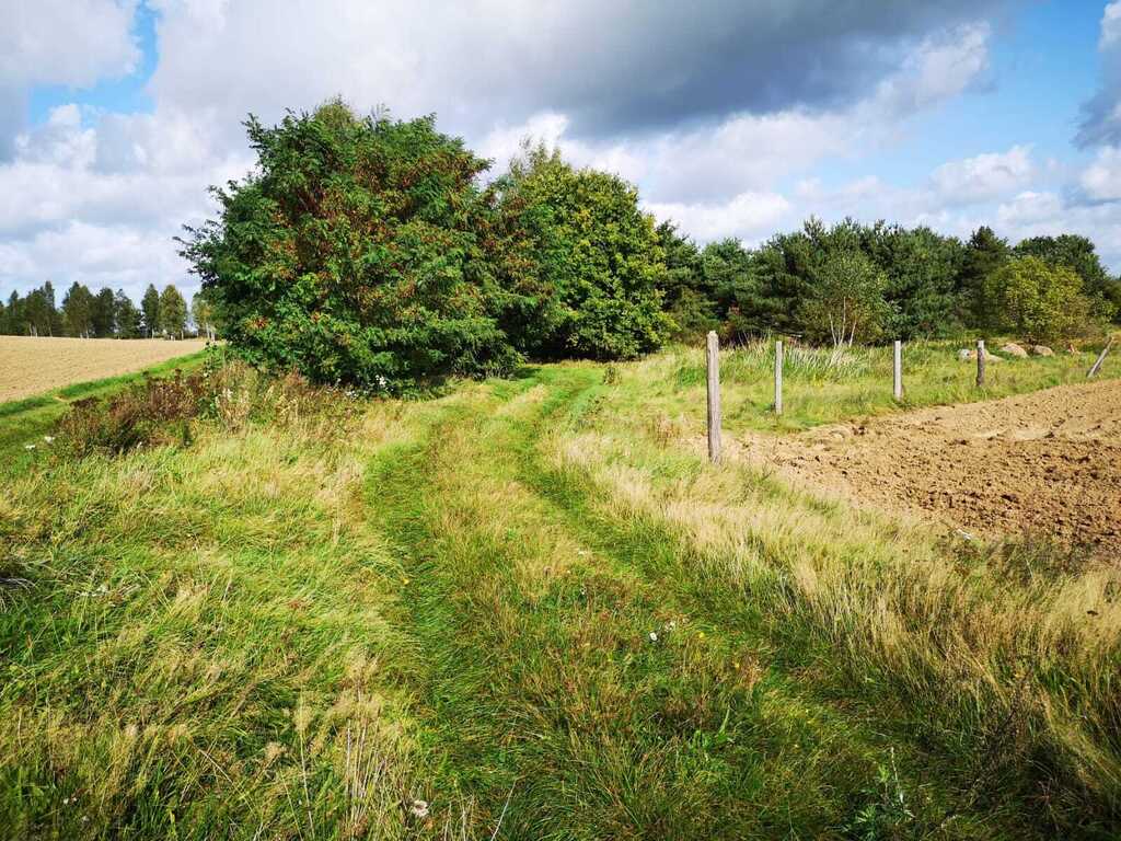 Działka na sprzedaż Świeszewo 18 458 m2 | Arka Nieruchomości