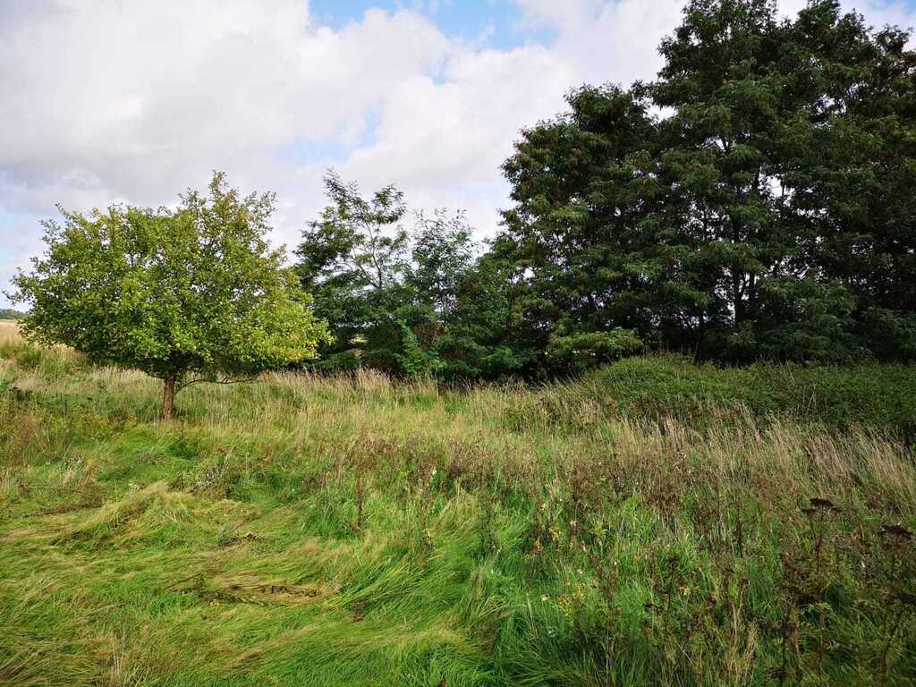 Działka na sprzedaż Świeszewo 18 458 m2 | Arka Nieruchomości