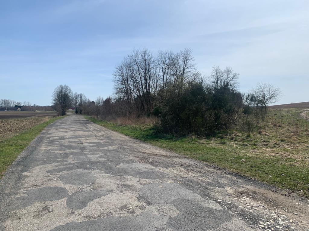 Działka na sprzedaż Świeszewo 18 458 m2 | Arka Nieruchomości