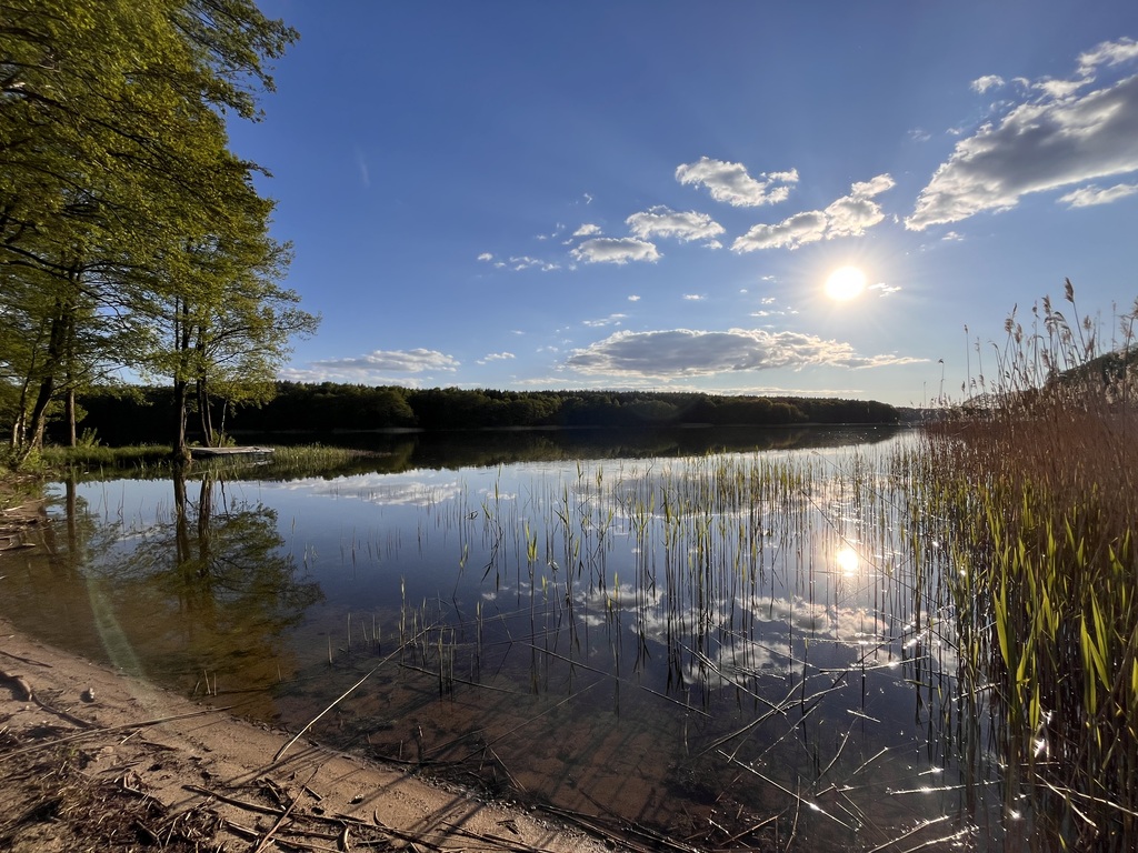 Działka na sprzedaż Dołgie 869 m2 | Arka Nieruchomości