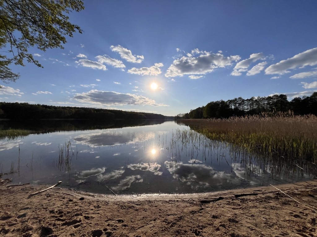 Działka na sprzedaż Dołgie 869 m2 | Arka Nieruchomości