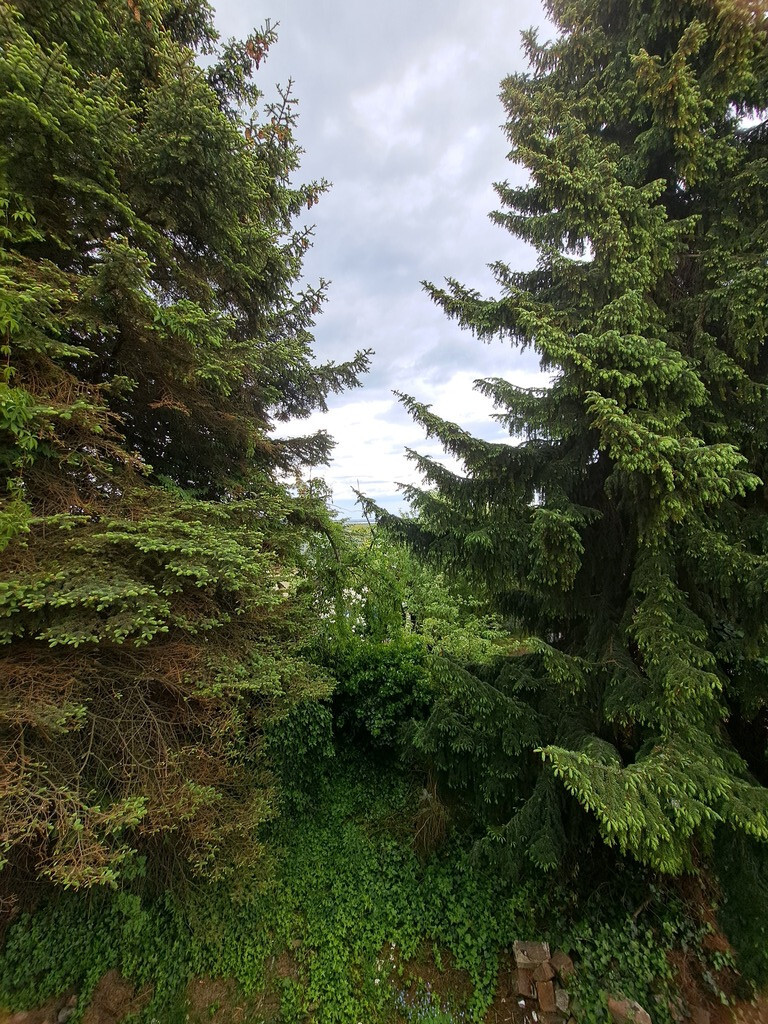 Dom na sprzedaż Szczecin, Gocław 240 m2 | Arka Nieruchomości