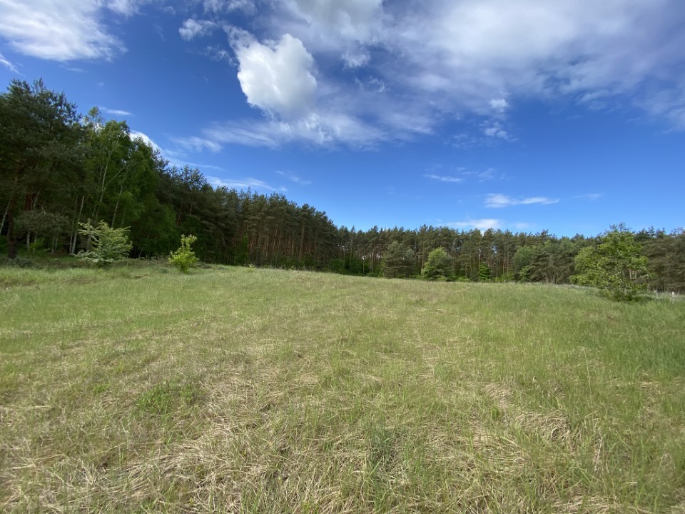 Działka na sprzedaż Buk 1 463 m2 | Arka Nieruchomości