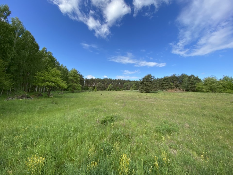 Działka na sprzedaż Buk 1 463 m2 | Arka Nieruchomości