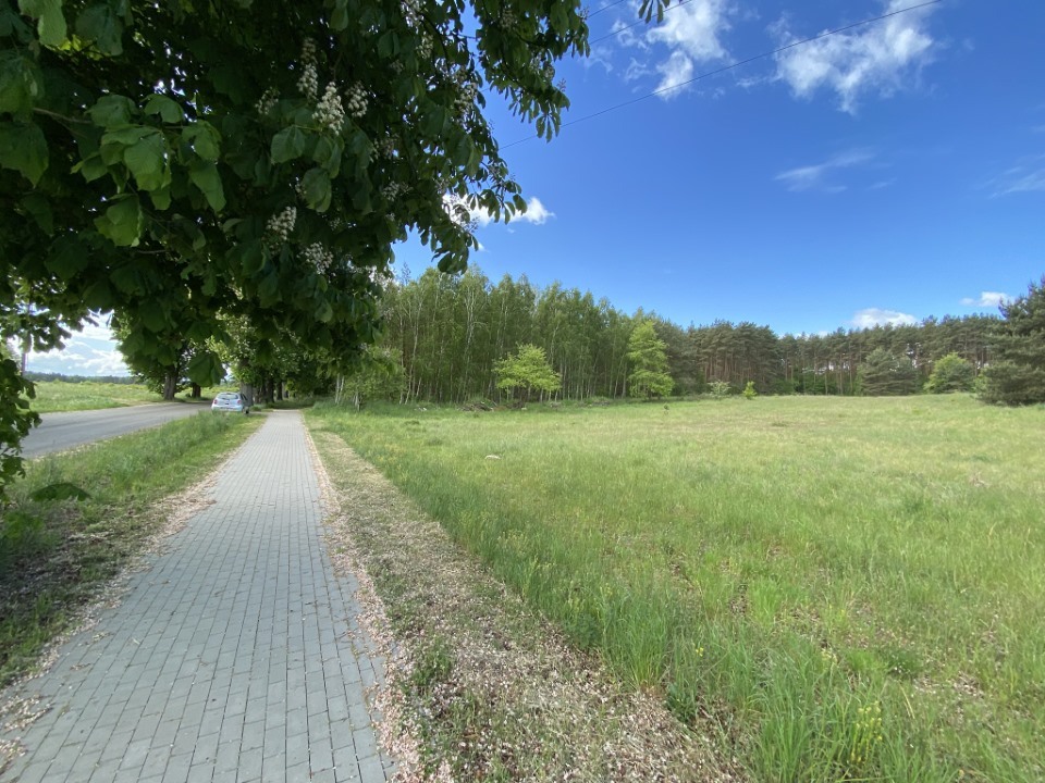 Działka na sprzedaż Buk 1 463 m2 | Arka Nieruchomości