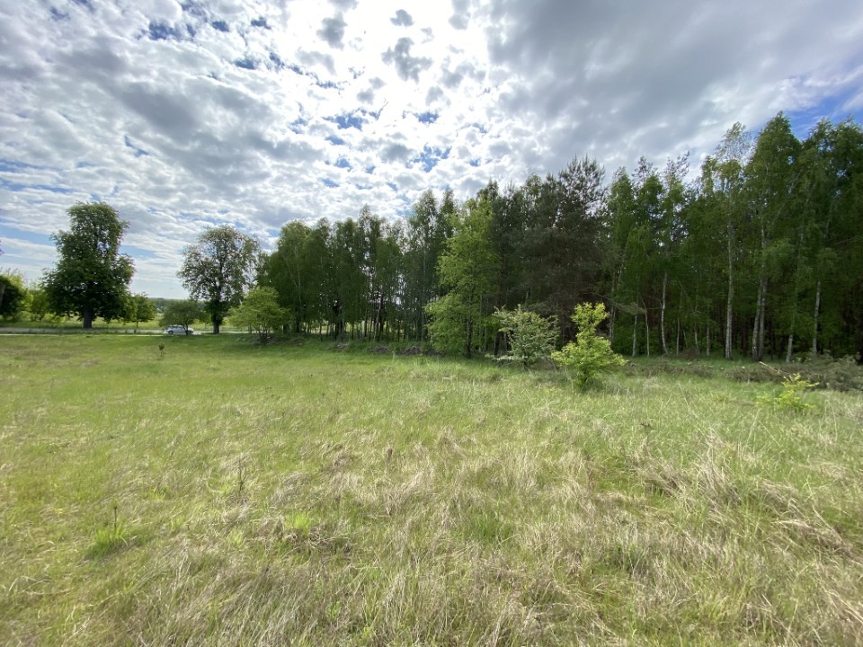 Działka na sprzedaż Buk 1 463 m2 | Arka Nieruchomości