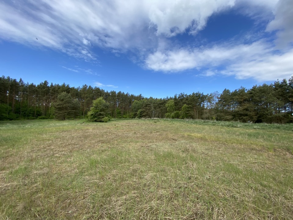 Działka na sprzedaż Buk 1 463 m2 | Arka Nieruchomości