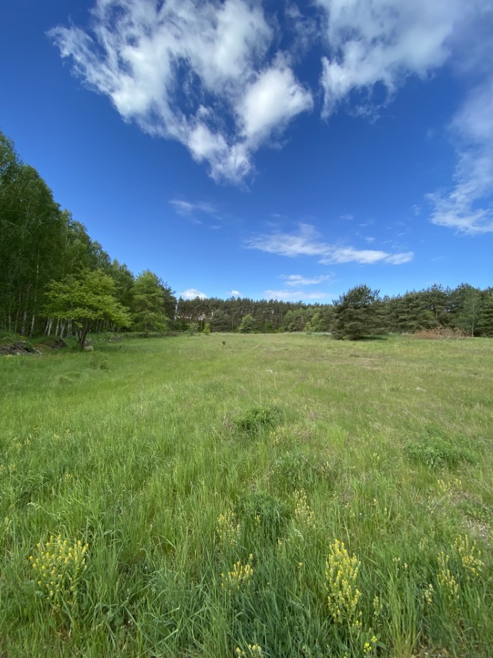 Działka na sprzedaż Buk 1 463 m2 | Arka Nieruchomości