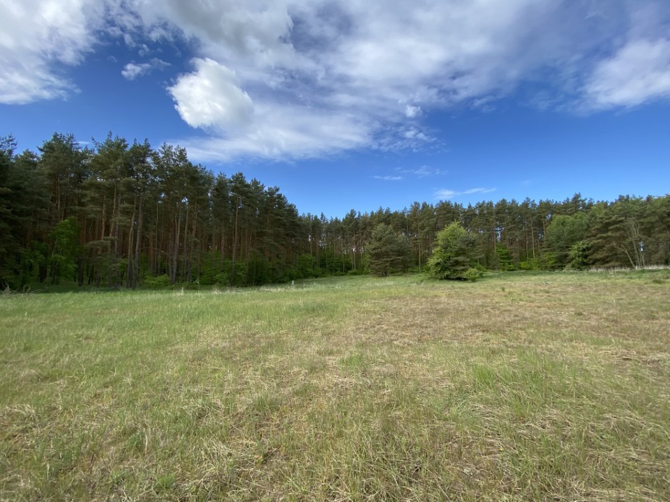 Działka na sprzedaż Buk 1 463 m2 | Arka Nieruchomości