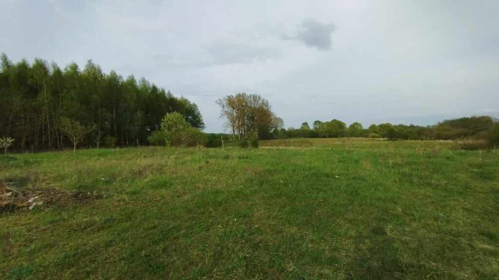 Działka na sprzedaż Kobylanka 2 000 m2 | Arka Nieruchomości