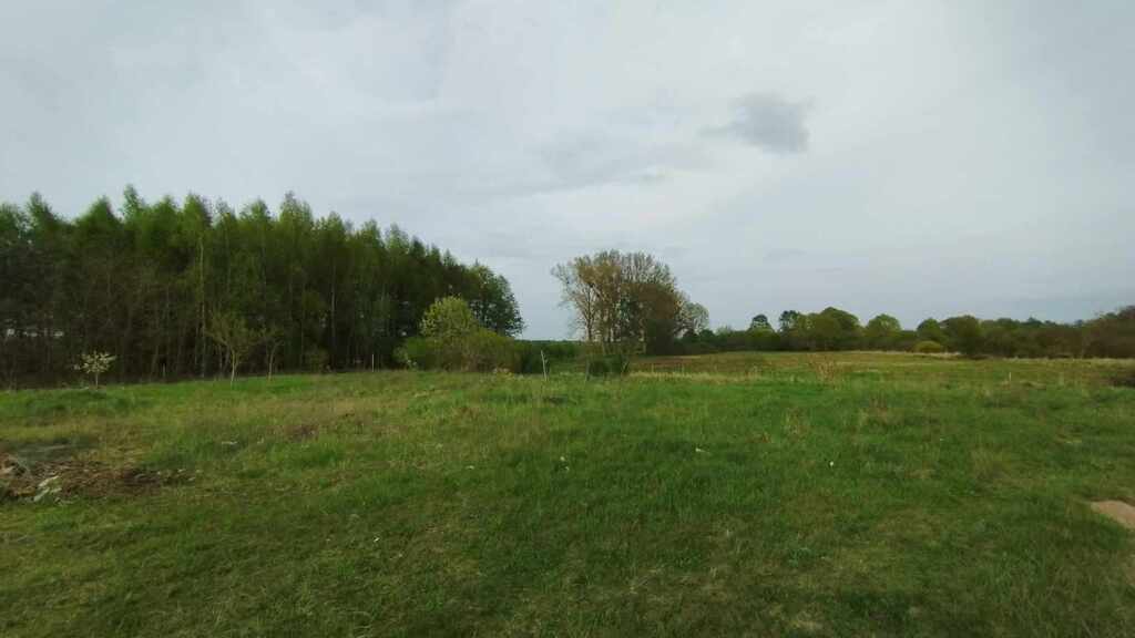 Działka na sprzedaż Kobylanka 2 000 m2 | Arka Nieruchomości