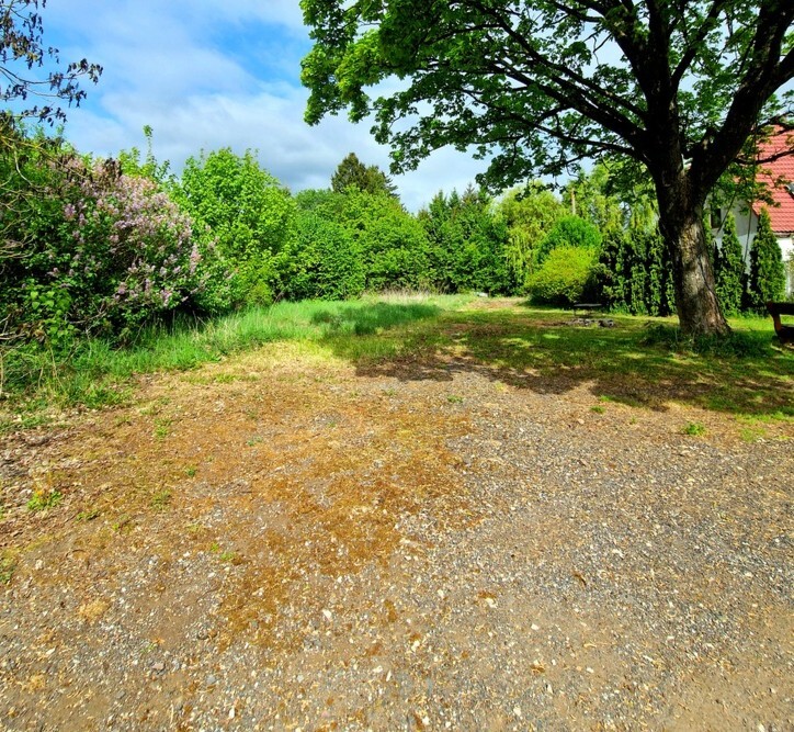 Działka na sprzedaż Olchowo 33 685 m2 | Arka Nieruchomości