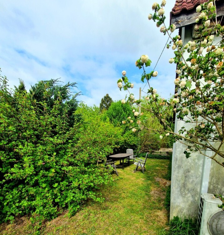 Działka na sprzedaż Olchowo 33 685 m2 | Arka Nieruchomości