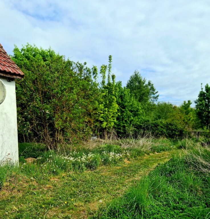 Działka na sprzedaż Olchowo 33 685 m2 | Arka Nieruchomości