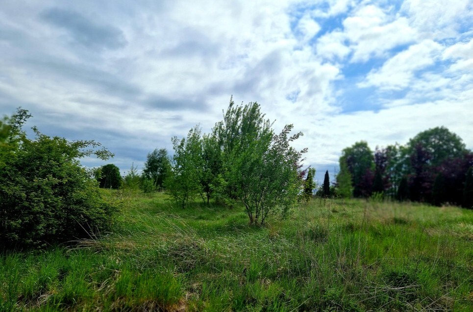 Działka na sprzedaż Olchowo 33 685 m2 | Arka Nieruchomości