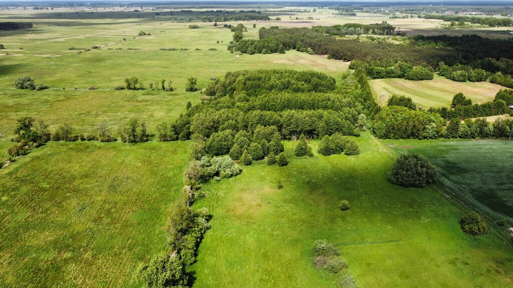 Działka na sprzedaż Pucice 3 823 m2 | Arka Nieruchomości