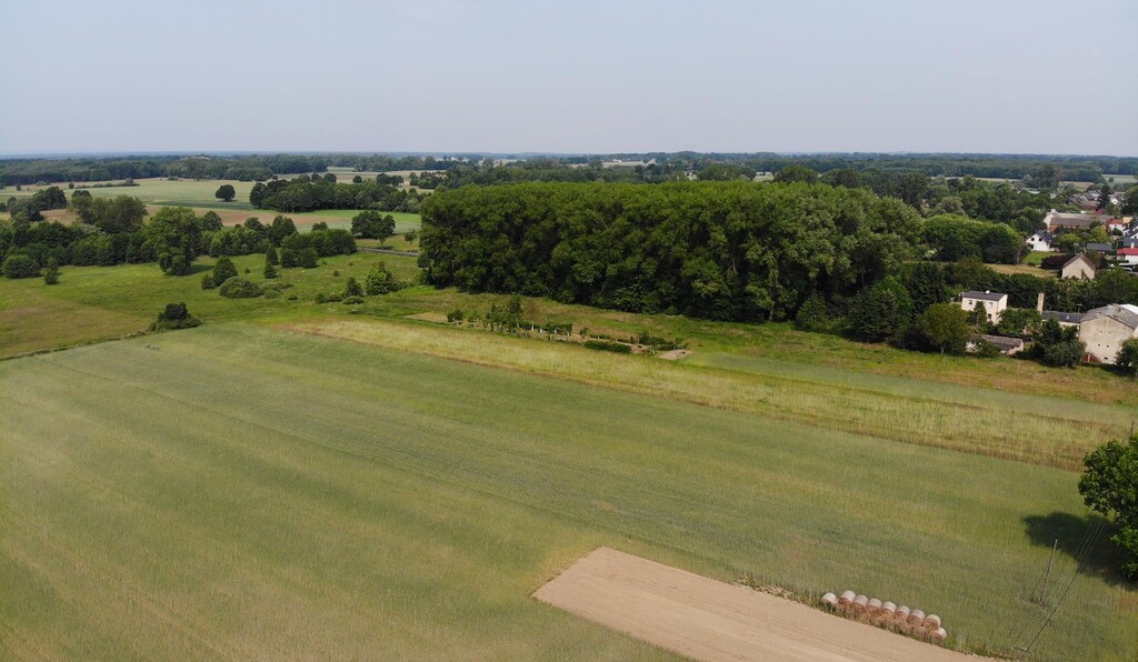 Działka na sprzedaż Rożnowo Nowogardzkie 1 725 m2 | Arka Nieruchomości