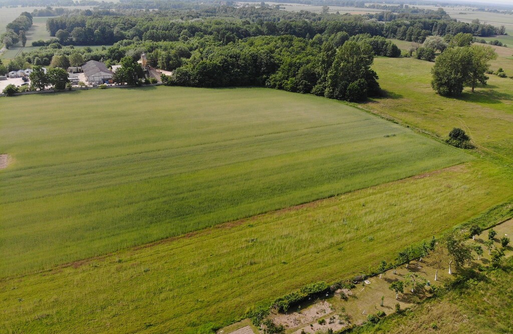 Działka na sprzedaż Rożnowo Nowogardzkie 1 725 m2 | Arka Nieruchomości