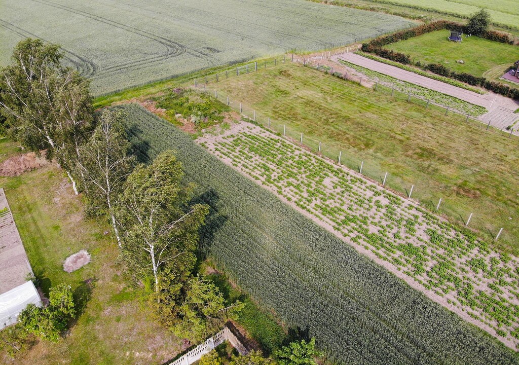 Działka na sprzedaż Przemocze 1 875 m2 | Arka Nieruchomości