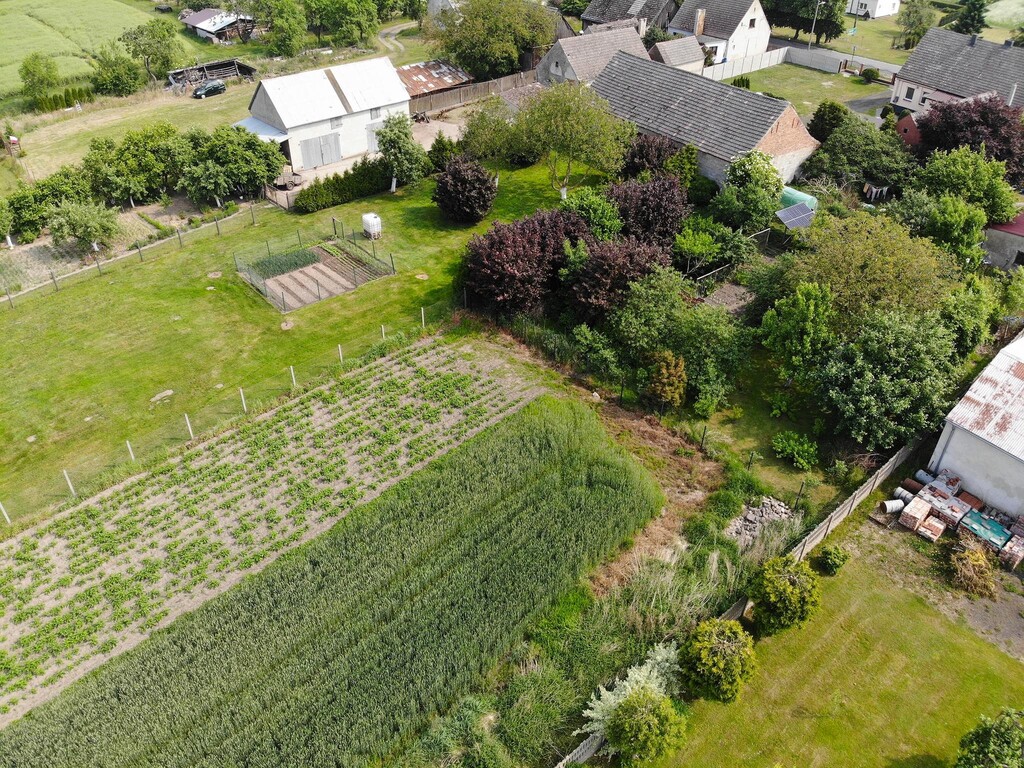Działka na sprzedaż Przemocze 1 875 m2 | Arka Nieruchomości