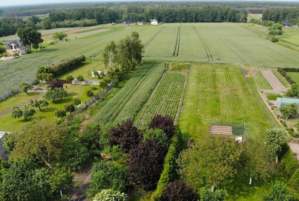 Działka na sprzedaż Przemocze 1 875 m2 | Arka Nieruchomości