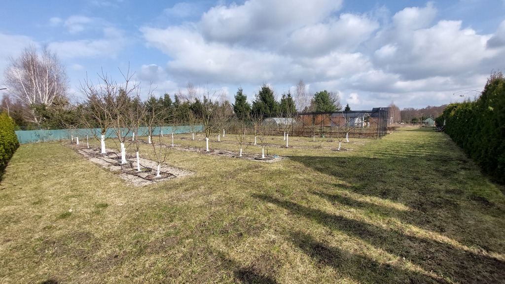 Działka na sprzedaż Oświno 1 581 m2 | Arka Nieruchomości