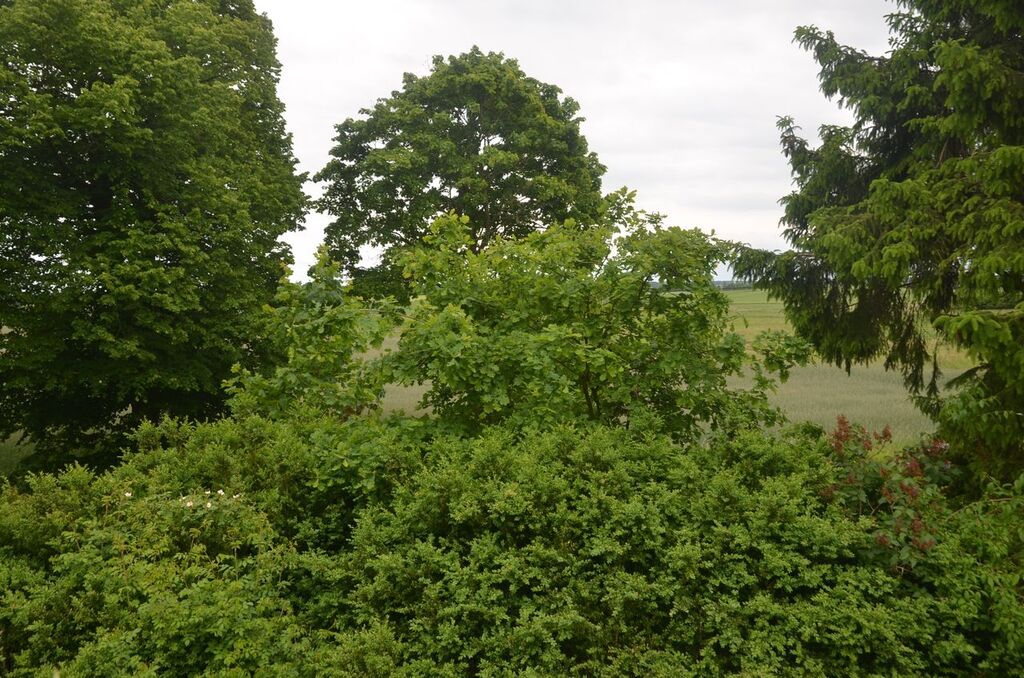 Dom na sprzedaż Rusowo 160 m2 | Arka Nieruchomości