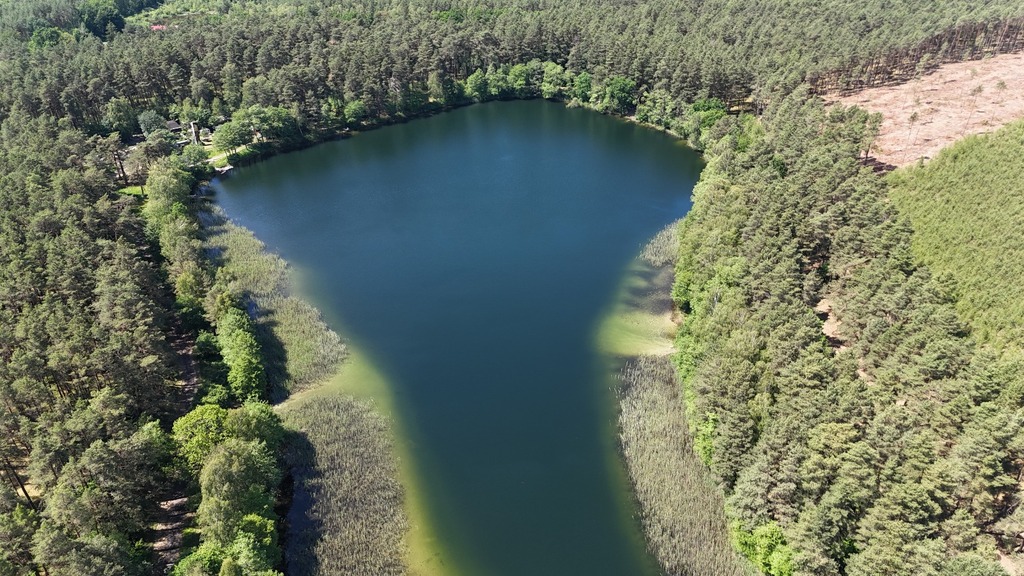 Działka na sprzedaż Byszyno 190 000 m2 | Arka Nieruchomości