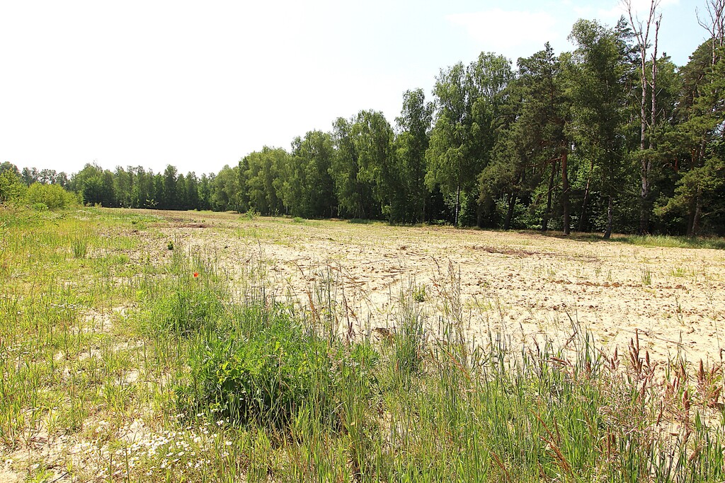Działka na sprzedaż Grabowo 1 075 m2 | Arka Nieruchomości