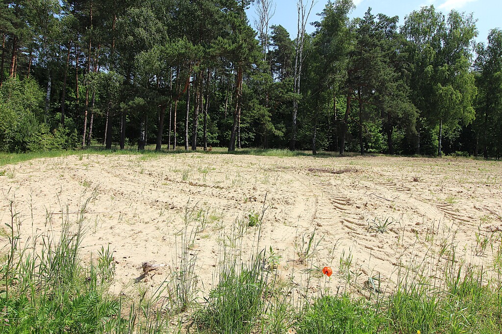Działka na sprzedaż Grabowo 1 075 m2 | Arka Nieruchomości