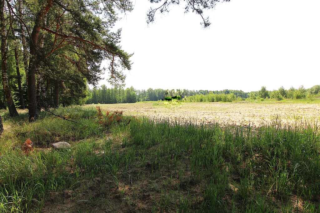 Działka na sprzedaż Grabowo 1 075 m2 | Arka Nieruchomości