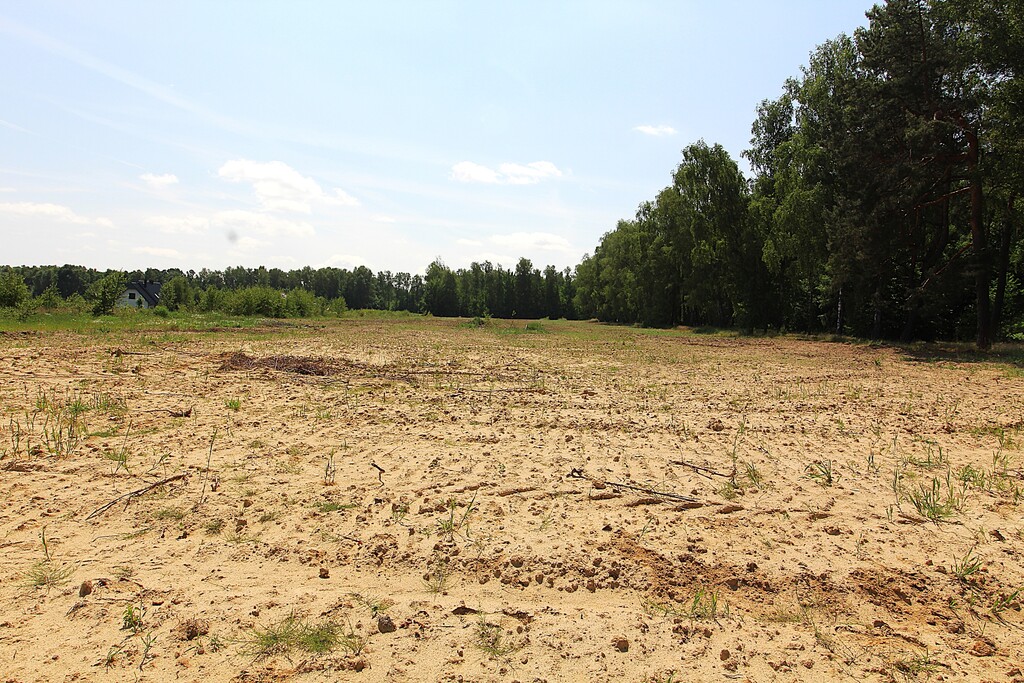 Działka na sprzedaż Grabowo 1 075 m2 | Arka Nieruchomości